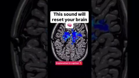 🌀 This sound resets your brain in 12 seconds. 432 Hz + Golden Ratio = instant calm & clarity ✨